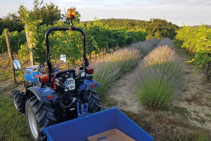 Solis Kompakttraktor 26 Grundmaschine ohne Bereifung – Bild 15